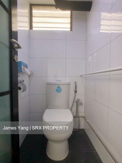 Blk 171 Stirling Road (Queenstown), HDB 3 Rooms #203939201
